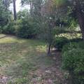 3152 Clewiston Street - Photo 45