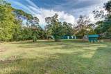205 Elaine Place - Photo 47