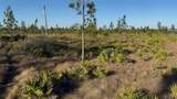  Holopaw Groves Road - Photo 1