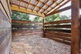 4802 Anton Avenue - Photo 45