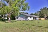 1510 Live Oak Street - Photo 4