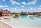 95353 Orchid Blossom Trail - Photo 31