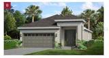180 Duckweed Avenue - Photo 1