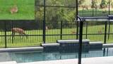 14308 Abington Heights Drive - Photo 17