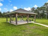 10220 & 10224 Bay Lake Road - Photo 83