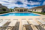 2647 Horseshoe Bay Drive - Photo 13