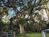 24050 Winding Creek Drive - Photo 10