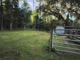 24050 Winding Creek Drive - Photo 11