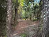 24050 Winding Creek Drive - Photo 12