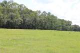  Green Swamp Road - Photo 1