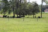  Green Swamp Road - Photo 18