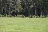  Green Swamp Road - Photo 22