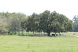  Green Swamp Road - Photo 23