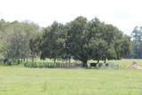  Green Swamp Road - Photo 24