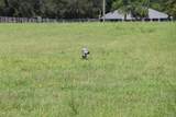  Green Swamp Road - Photo 25