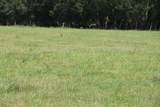 Green Swamp Road - Photo 26