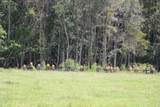  Green Swamp Road - Photo 27