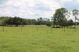  Green Swamp Road - Photo 29
