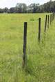  Green Swamp Road - Photo 3