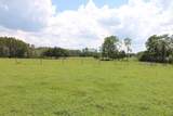  Green Swamp Road - Photo 30