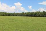  Green Swamp Road - Photo 31