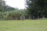  Green Swamp Road - Photo 35