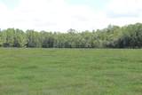  Green Swamp Road - Photo 37