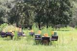 Green Swamp Road - Photo 38