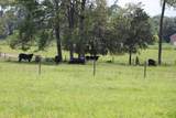  Green Swamp Road - Photo 40