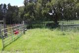  Green Swamp Road - Photo 46