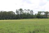  Green Swamp Road - Photo 53