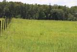  Green Swamp Road - Photo 7