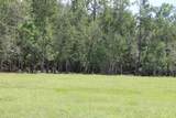  Green Swamp Road - Photo 9