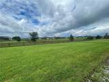 11216 Roz Way - Photo 35