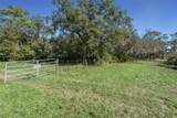  Faye Street - Photo 21