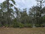 165 Street Road - Photo 1