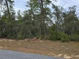 165 Street Road - Photo 2