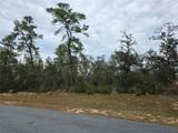 165 Street Road - Photo 4