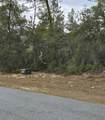 165 Street Road - Photo 6