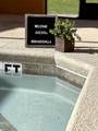 8947 Candy Palm Rd - Photo 3