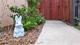 2377 Burton Lane - Photo 2