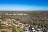 23986 Terracina Court - Photo 56