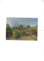 1910 Goodreau Avenue - Photo 1