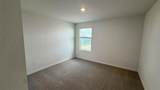 2900 Wild Olive Drive - Photo 19