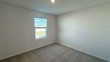 2900 Wild Olive Drive - Photo 30