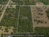 2733 Tawny Drive - Photo 3