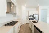 217 Fascino Circle - Photo 10