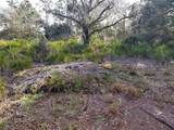 4311 Gardenia Drive - Photo 4