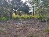 4311 Gardenia Drive - Photo 6
