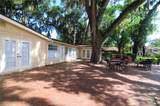 685 Scarlet Oak Circle - Photo 36